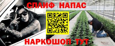 тгк Будённовск
