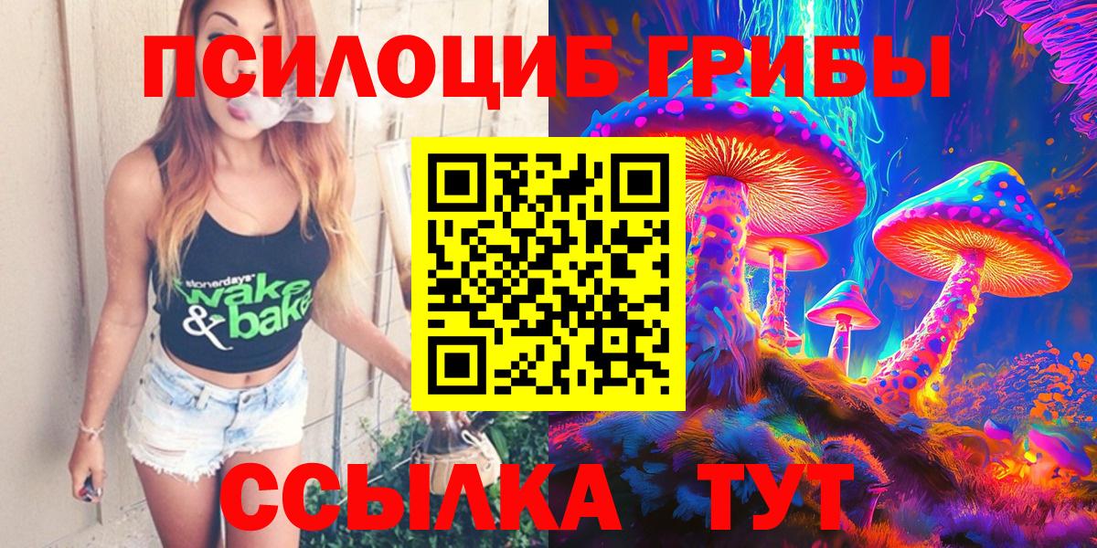 Псилоцибиновые грибы Cubensis  Вход с VPN  купить наркотики цена  Новый Уренгой 